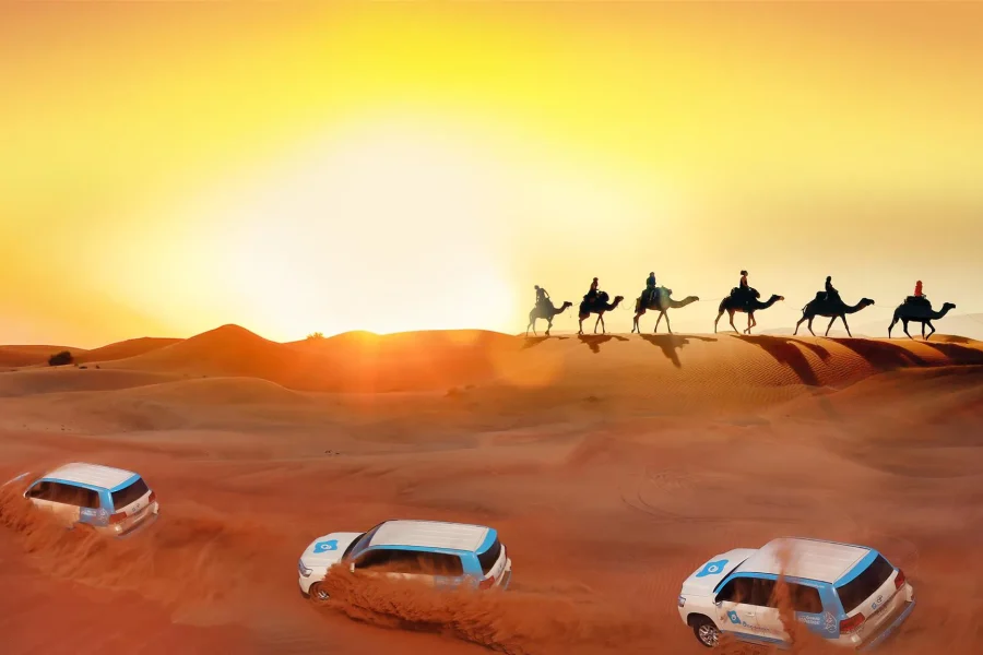 Dubai Desert Safari Experience Live Shows