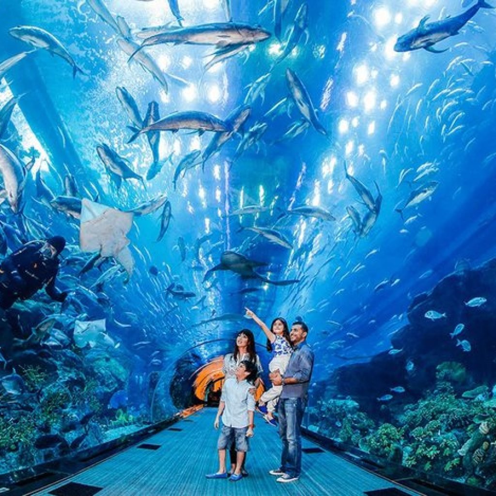 jy5ac6li9xf5uqnqn31s